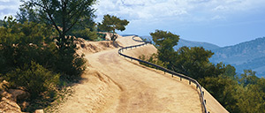 Rally Image