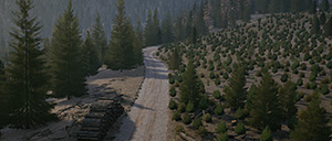 Rally Image
