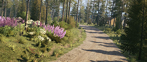 Rally Image