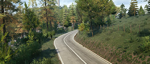 Rally Image