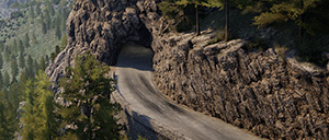 Rally Image