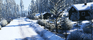 Rally Image