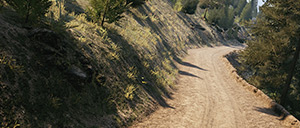 Rally Image