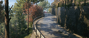 Rally Image