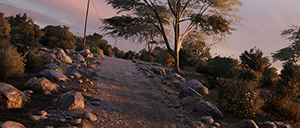 Rally Image