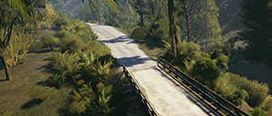 Rally Image