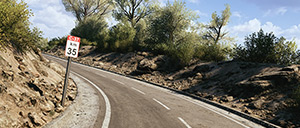 Rally Image