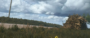 Rally Image