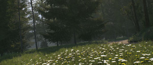 Rally Image