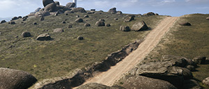 Rally Image