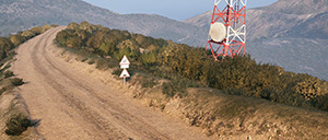 Rally Image