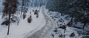 Rally Image
